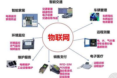 从蜘蛛网到物联网 人类走了多远？